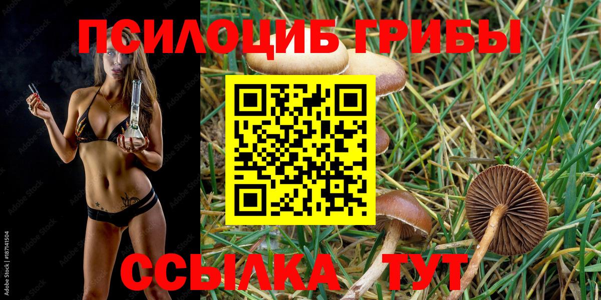 Белебей  Галлюциногенные грибы ЛСД  Вход с VPN 